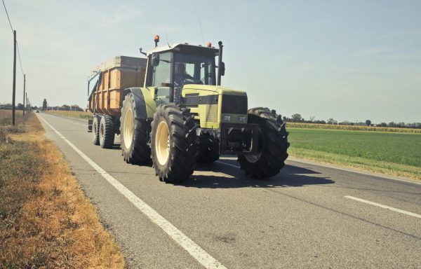 Farm Product 13 - Image 3