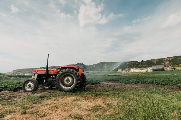Farm Product 13
