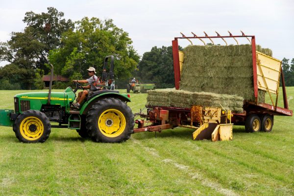 Farm Product 13 - Image 2