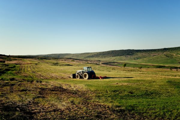 Farm Product 11 - Image 2