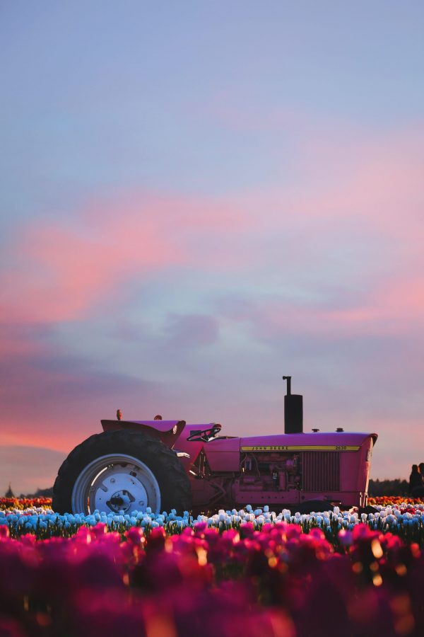 Farm Product 11 - Image 3