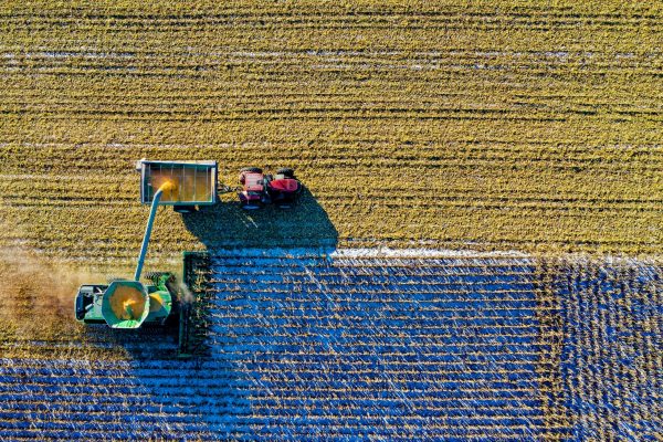Farm Product 13 - Image 4